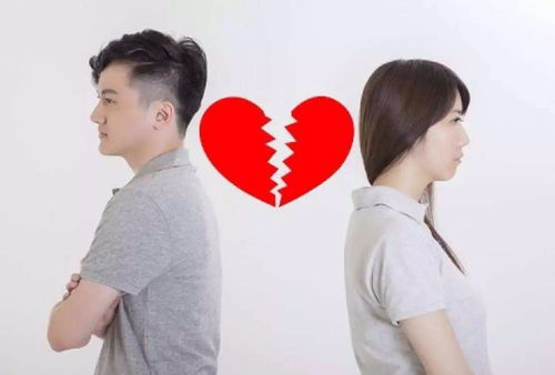 热播短剧影后老婆离婚后，我火遍全网免费在线观看_影后老婆超会撩小说免费阅读--第1张