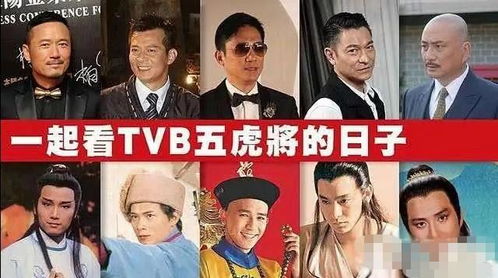 热播短剧龙争虎斗免费在线观看_龙争虎斗观看完整版--第1张