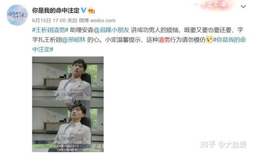 短剧命中注定爱上你全集观看_命中注定爱上我 电视剧--第1张