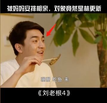 短剧帅哥你好丑全集观看_帅哥你好帅表情包--第1张