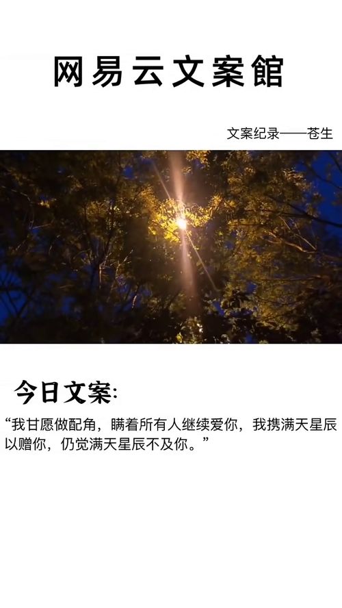 短剧漫天星辰不及你全集观看_漫天星辰不及你小说免费阅读--第1张