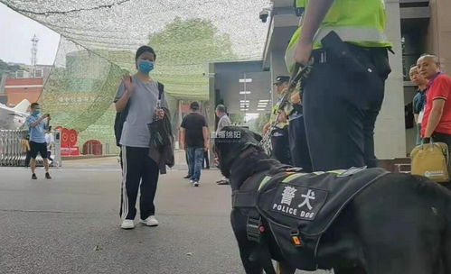 短剧三个大佬哥哥带我飒疯了全集观看_三个大佬哥哥为我保驾护航--第1张