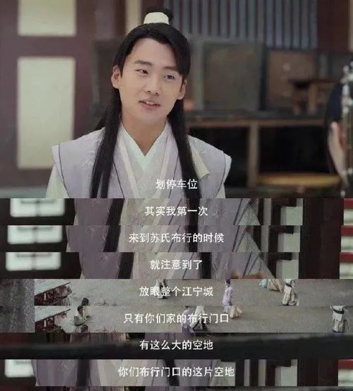 赘婿第90集大结局_赘婿第30集介绍--第1张