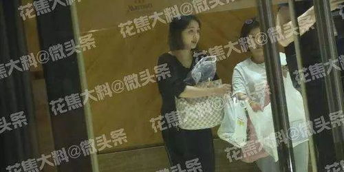 热播短剧我在娱乐圈跟霸总隐婚免费在线观看_我在娱乐圈横行霸道--第1张