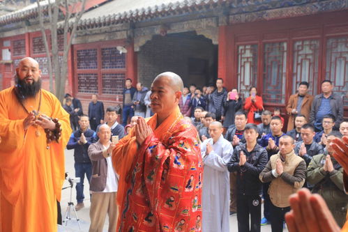 短剧婚缠不休全集观看_婚缠不休爱有余毒--第1张