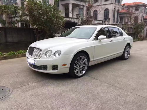 热播短剧是福躲不过$租个总裁男友回家过年免费在线观看_租个总裁当老公免费版--第1张