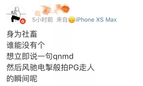 短剧社畜翻身当老板全集观看_社畜难当是什么意思--第1张