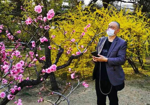 热播短剧人间芳菲四月天免费在线观看_人间芳菲四月天图片--第1张