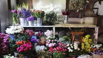 花店品牌有哪些 花店品牌有哪些--第1张
