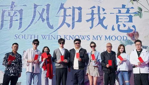 短剧我传承了鉴宝奇术全集观看_我的传承是什么意思--第1张