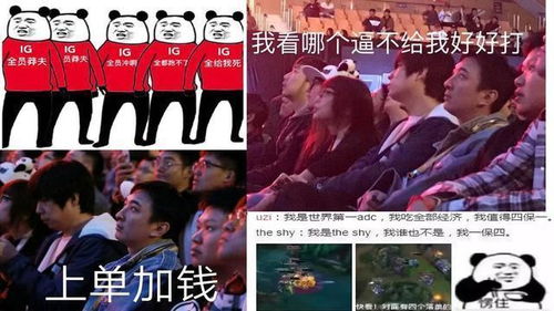 热播短剧-黑色荣耀之孤注一掷免费在线观看_黑色荣耀作者沙十二少--第1张