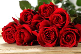 19朵红玫瑰花代表什么意思 19朵红玫瑰花的含义，爱情与浪漫的象征--第1张