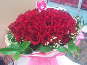 31朵玫瑰花的含义 31朵玫瑰花的含义--第1张