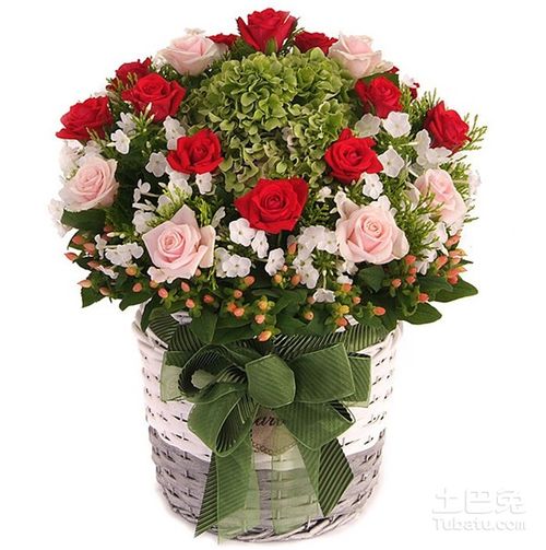 玫瑰花12朵代表什么意义 玫瑰花12朵，无尽的爱与深深的承诺--第1张
