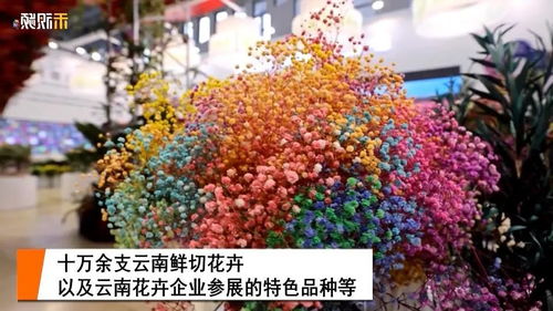 100种玫瑰花的名字 百种玫瑰花的名字--第1张
