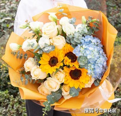 送给父亲什么花 送给父亲什么花--第1张