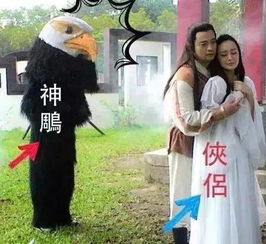 短剧太子妃马甲又爆了mp全集观看_太子妃马甲又掉了--第1张