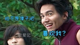 短剧天降三宝总裁爹地是大佬全集观看_天降三宝 总裁爹地拐回家 微笑--第1张