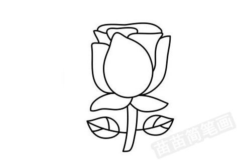 玫瑰花怎么画 玫瑰花的画法--第1张