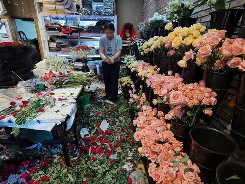 花店一束玫瑰花多少钱 花店一束玫瑰花多少钱--第1张