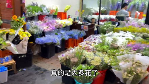 会议鲜花批发价格 会议鲜花批发价格--第1张