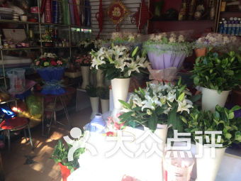 南阳花店鲜花速递 南阳花店鲜花速递服务--第1张