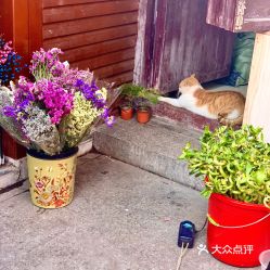 离我最近的花店地址电话号码 离我最近的花店地址电话号码--第1张