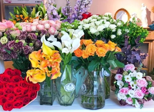 合肥鲜花店订花 合肥鲜花店订花--第1张