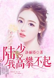 短剧离婚后前妻高攀不起全集观看_离婚后前妻小说--第1张