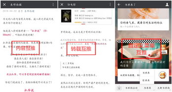百合网官网 百合网官网，寻找你的完美伴侣的理想平台--第1张