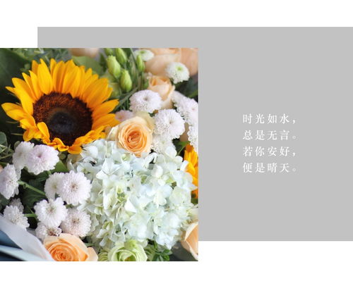 不同颜色的雏菊的花语 不同颜色的雏菊的花语--第1张
