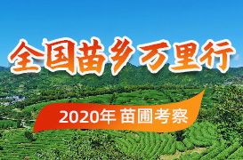苗木求购的网站 苗木求购的网站--第1张