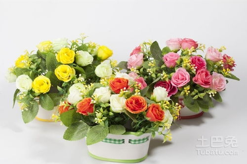 适合送女儿生日的鲜花 适合送女儿生日的鲜花--第1张