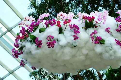 爱慕鲜花网官网 爱慕鲜花网官网，传递爱意，让生活更美好--第1张