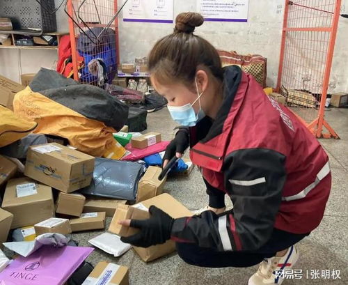 短剧成为快递员后我有了七个老婆全集观看_我当快递员那些年--第1张