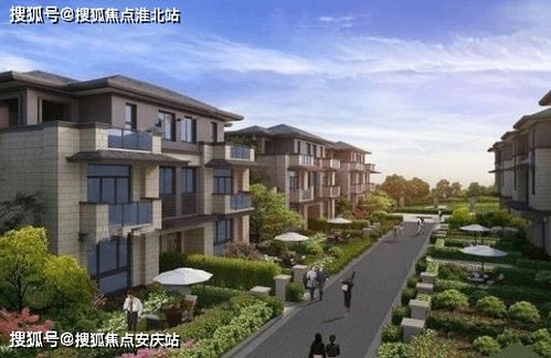 鲜花网站哪家的好 鲜花网站哪家好？深度解析与推荐--第1张