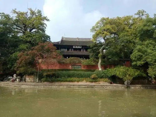 短剧保洁老爸是全球首富短剧完整版 短剧保洁老爸是全球首富短剧完整版--第1张