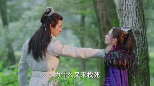 短剧以牙还牙长篇全集观看_以牙还牙第一集--第1张