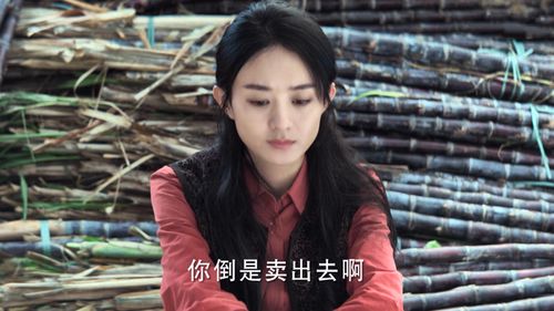 短剧新豪门继承人拉着我领证短剧完整版 短剧新豪门继承人拉着我领证短剧完整版--第1张