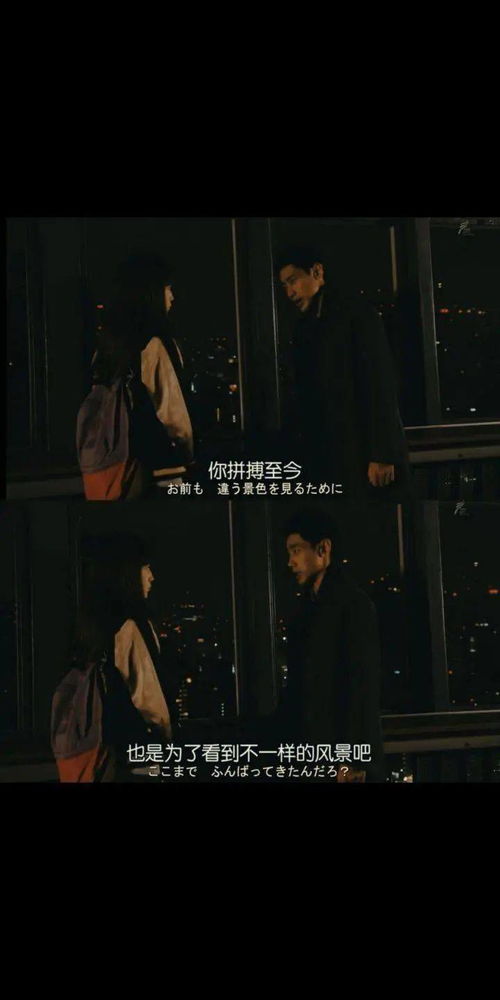 短剧前程万里短剧完整版 短剧前程万里完整版--第1张