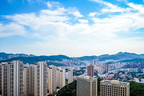 短剧一胎双宝爹地总想靠脸上位短剧完整版 短剧一胎双宝爹地总想靠脸上位 短剧完整版--第1张