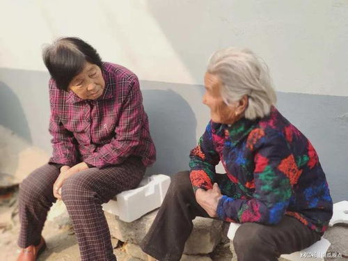 短剧糟了奶狗老公发现我是大姐大短剧完整版 短剧糟了奶狗老公发现我是大姐大短剧完整版--第1张