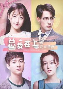 短剧闪婚老公相逢不相识短剧完整版 短剧闪婚老公相逢不相识短剧完整版--第1张