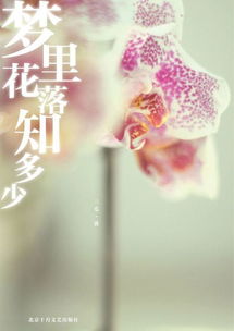 短剧梦里花落知多少短剧完整版 梦里花落知多少，短剧完整版--第1张