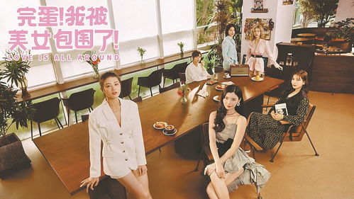 短剧全城美女都要嫁给我短剧完整版 短剧全城美女都要嫁给我 短剧完整版--第1张
