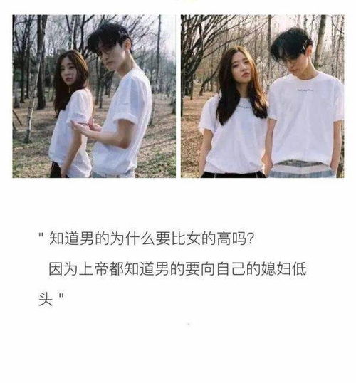 短剧南有乔木北有相思爱你千万次短剧完整版 短剧南有乔木北有相思爱你千万次完整版--第1张