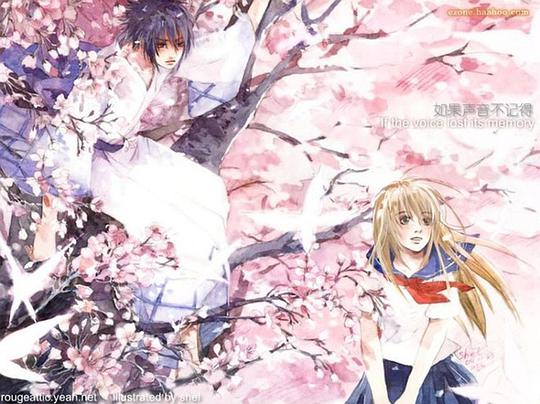 短剧如果声音记得你长篇短剧完整版 如果声音记得你，长篇短剧完整版--第1张