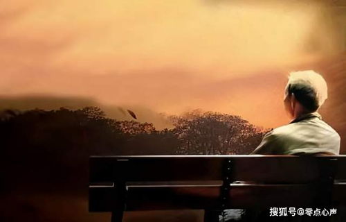 短剧余生漫漫顾怀瑾不辞春色全集观看_余生漫漫不相见宋柒--第1张