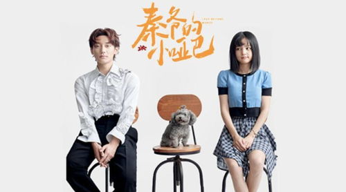短剧被迫闪婚我在大佬怀里肆意撒娇全集观看_@q被迫成为大佬怀里的小甜心--第1张
