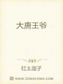 短剧大唐逍遥附马爷全集观看_大唐逍遥驸马爷 最新章节 无弹窗--第1张